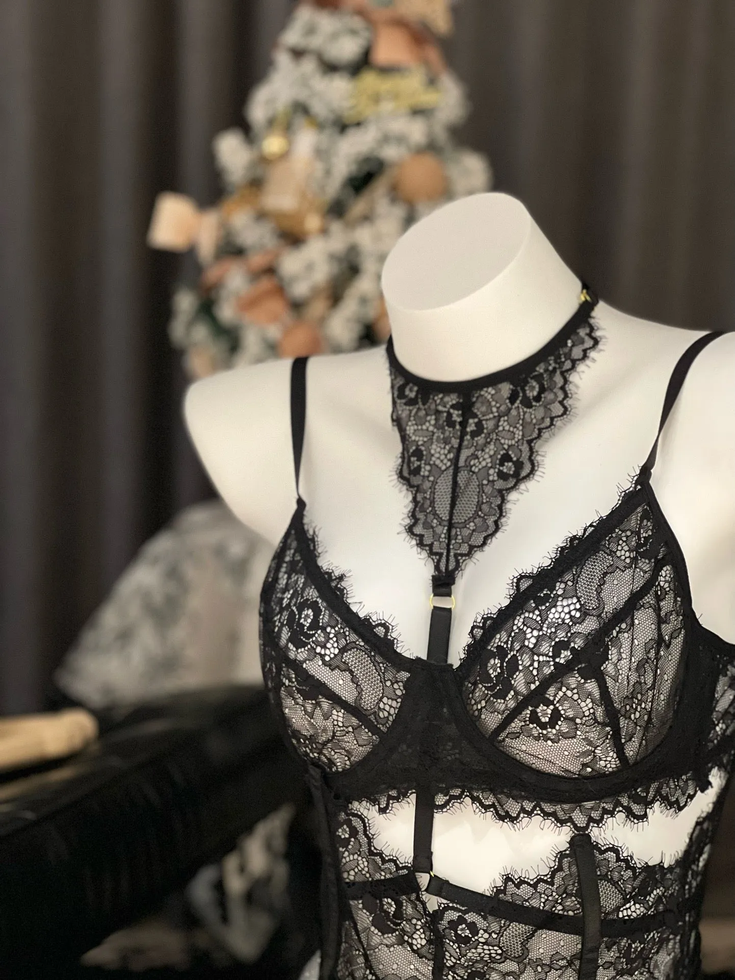 Fallen Angel Lace Sexy Nightwear Lingerie Set