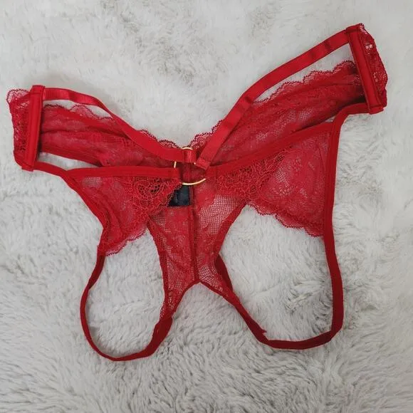 NWT Frederick's of Hollywood Red Lace Lover Bra and Panty Two Piece Set