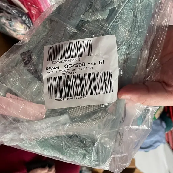 •NWT Victoria’s Secret Shine Strap Mint Haze Lace Corset // Small DD